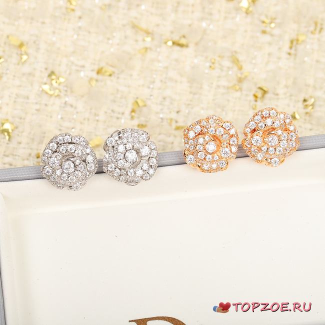 DIOR EARRINGS 02 - 1