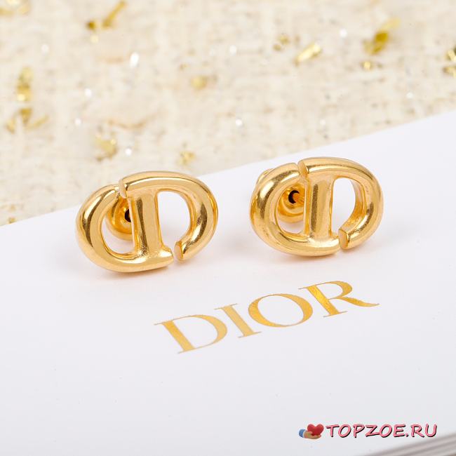 DIOR EARRINGS 03 - 1