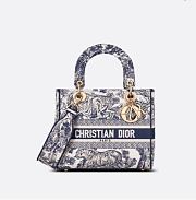 DIOR MEDIUM LADY D-LITE Canvas of Jouy Blue BAG 24cm - 1