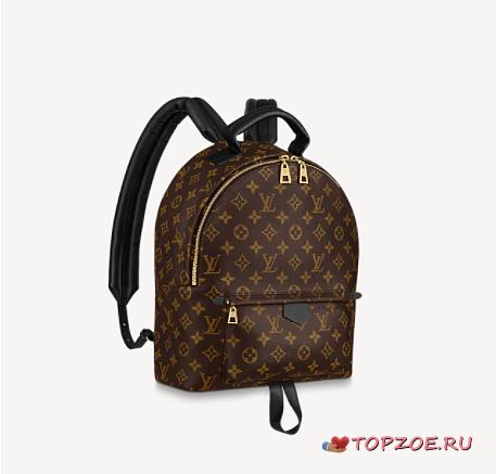 LV PALM SPRING MM BACKPACK M44874 - 1