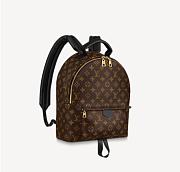 LV PALM SPRING MM BACKPACK M44874 - 1