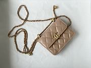 CHANEL MINI WOC BAG BEIGE 12CM - 1
