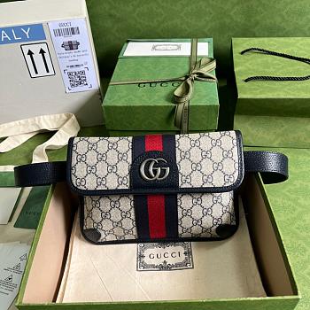 Gucci Belt bag 22cm