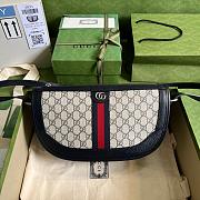 GUCCI GG Ophidia bag 30CM - 1