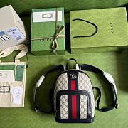 GUCCI GG Ophidia backpack 29CM - 3