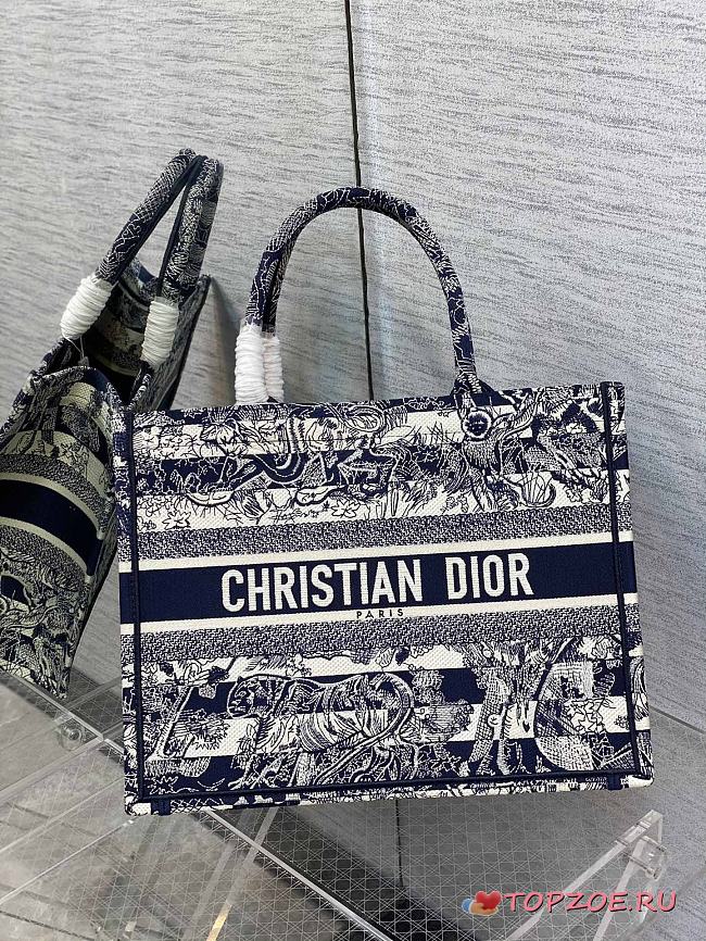 DIOR Book Tote Medium Blue striped ghee print embroidery 36cm - 1