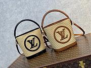 LV PETIT BUCKET BAG M59962 20CM - 2