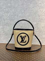 LV PETIT BUCKET BAG M59962 20CM - 3