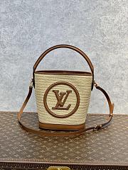 LV PETIT BUCKET BAG M59962 20CM - 6