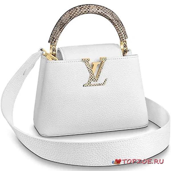 LV Capucines Mini Taurillon Ayers Snakeskin - 1