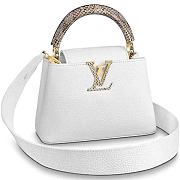 LV Capucines Mini Taurillon Ayers Snakeskin - 1
