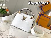 LV Capucines Mini Taurillon Ayers Snakeskin - 4