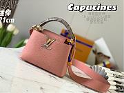 LV Capucines Mini Taurillon Ayers Snakeskin - 5