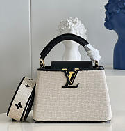 LV Mini Capucines M48865 - 1