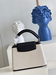 LV Mini Capucines M48865 - 3