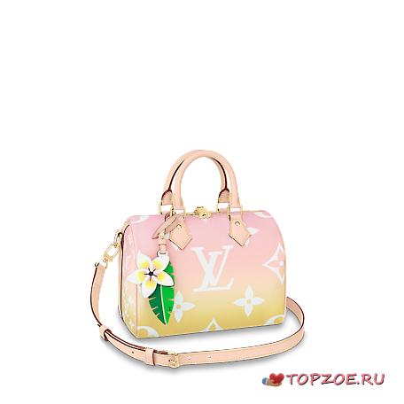 LV SPEEDY BANDOULIÈRE 25 M45724 - 1