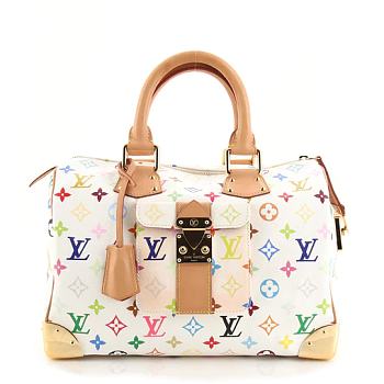 LV MULTICOLORE SPEEDY M0NOGRAM 30
