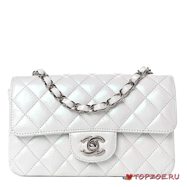 CHANEL SMALL CLASSIC IRIDESCENT HANDBAG - 1