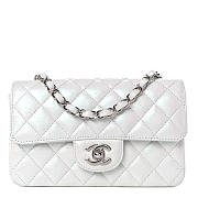 CHANEL SMALL CLASSIC IRIDESCENT HANDBAG - 1