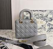 Dior Lady Ultramatte Cannage Calfskin My Abcdior Gray Shoulder Bag  - 4