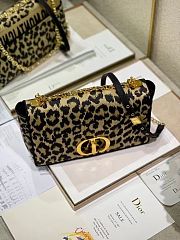 DIORR CARO BAG 130829A - 5