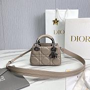 DIOR CATWALK MODEL DIANA MINI BAG 634454 - 20 x 13 x 8cm - 1