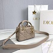 DIOR CATWALK MODEL DIANA MINI BAG 634451 - 20 x 13 x 8cm - 2