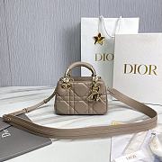 DIOR CATWALK MODEL DIANA MINI BAG 634451 - 20 x 13 x 8cm - 1