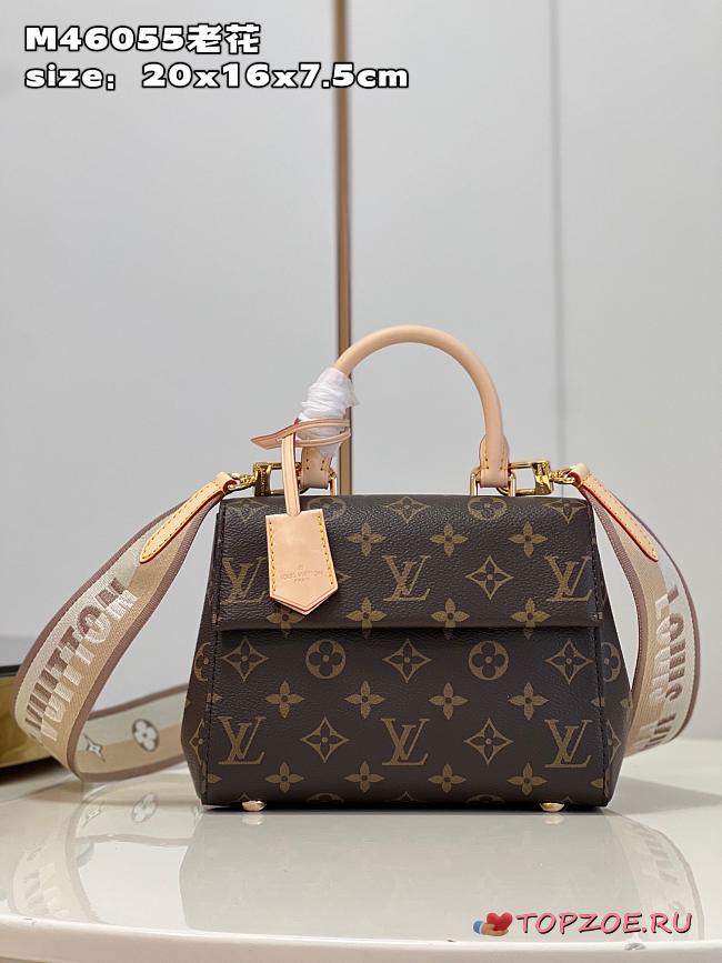 LV Cluny Mini bag M46055 20x16x7.5cm - 1