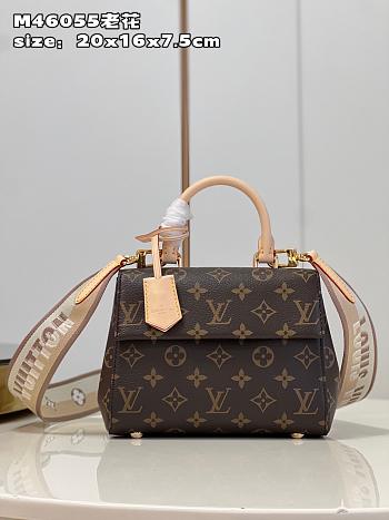 LV Cluny Mini bag M46055 20x16x7.5cm