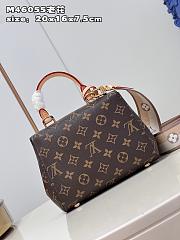 LV Cluny Mini bag M46055 20x16x7.5cm - 5