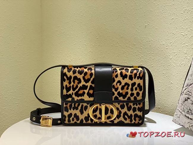 Dior 30 MONTAIGNE BAG 05 24cm - 1
