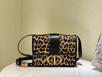 Dior 30 MONTAIGNE BAG 05 24cm