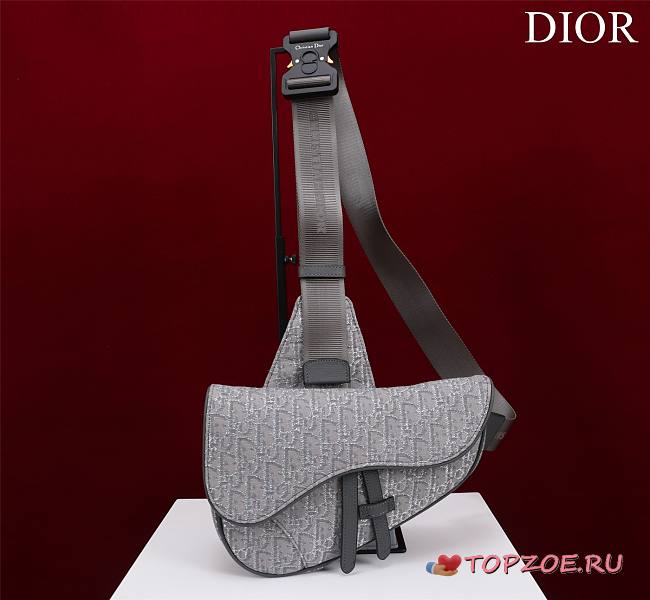 Dior SADDLE BAG Ruthenium 26 x 19 x 4.5CM - 1