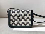 TEEN TRIOMPHE  18.5*14*6cm/ 22.5*16.5*7.5CM - 4