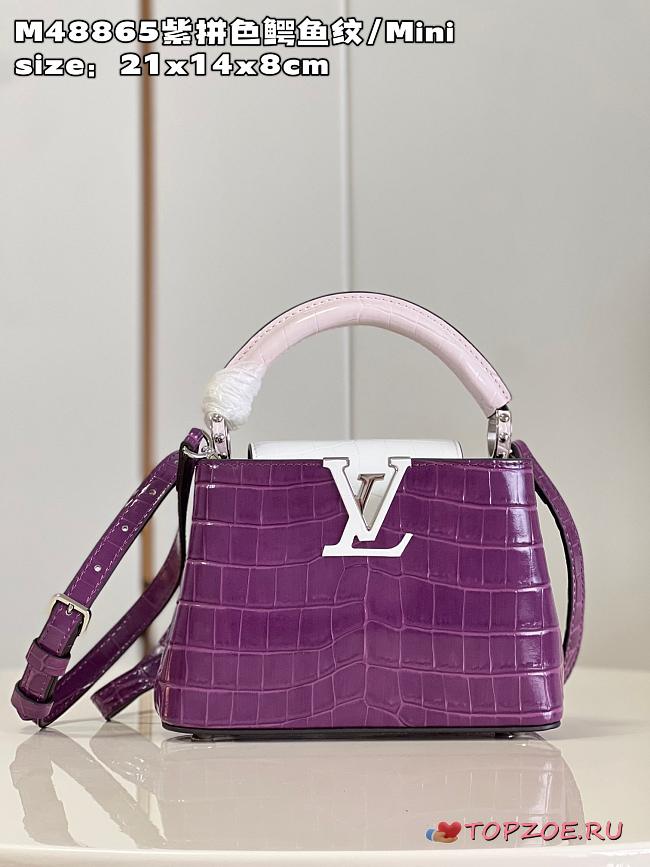 LV Capucines bag  M48865 21*14*8cm - 1