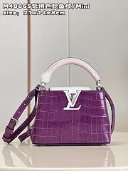 LV Capucines bag  M48865 21*14*8cm - 1