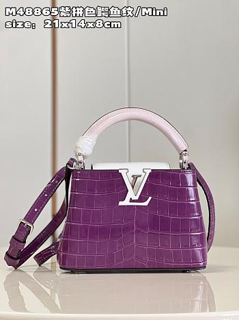 LV Capucines bag  M48865 21*14*8cm