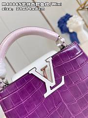 LV Capucines bag  M48865 21*14*8cm - 2