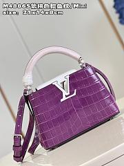 LV Capucines bag  M48865 21*14*8cm - 3