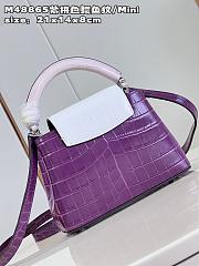 LV Capucines bag  M48865 21*14*8cm - 4