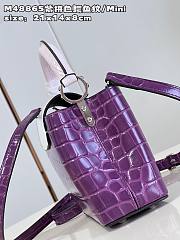LV Capucines bag  M48865 21*14*8cm - 6
