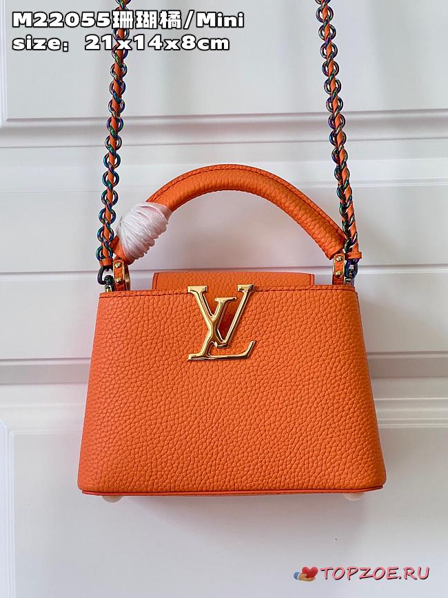 Capucines Mini bag M22606 21x14x8cm - 1