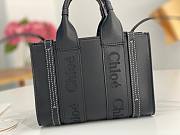 Chloe Woody bag 20*14*6CM - 2