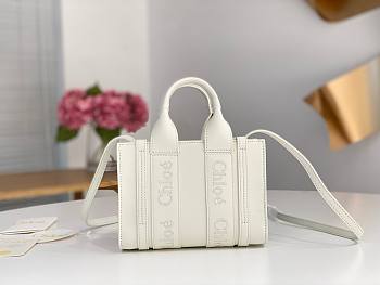 Chloe Woody bag01 20*14*6CM