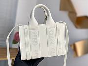 Chloe Woody bag01 20*14*6CM - 4