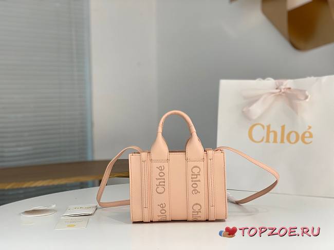 Chloe Woody bag03 20*14*6CM - 1