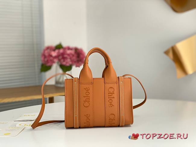Chloe Woody bag04 20*14*6CM - 1
