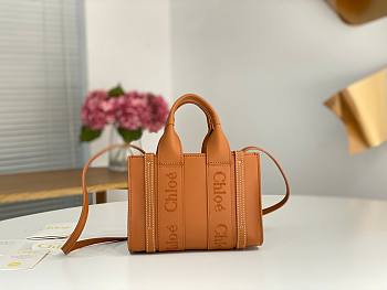 Chloe Woody bag04 20*14*6CM