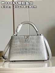 LV crossbody bag M48865 27*18*9CM - 1